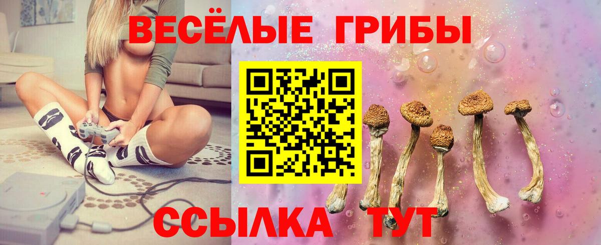 Галлюциногенные грибы Magic Shrooms Волхов