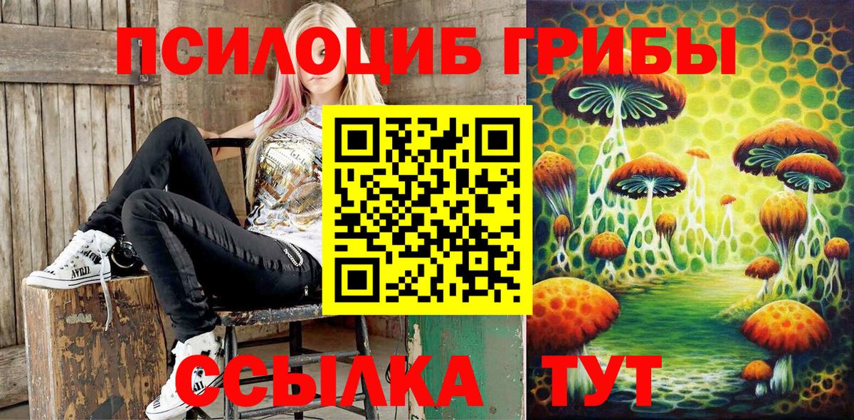 Галлюциногенные грибы мицелий  Вход с VPN  купить   Волхов  Псилоцибиновые грибы Cubensis 